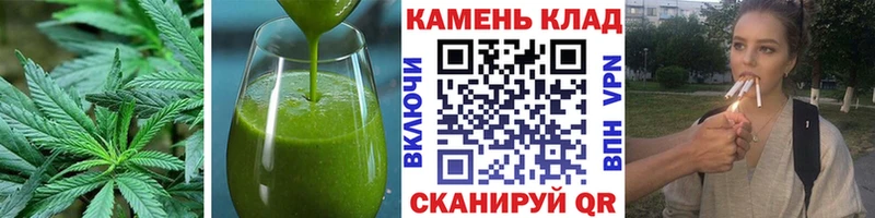 дарнет шоп  Владикавказ  Cannafood марихуана 
