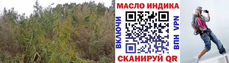 МЕГА онион  как найти закладки  Владикавказ  ТГК вейп с тгк 