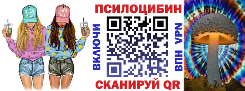 купить наркотик  Владикавказ  Псилоцибиновые грибы GOLDEN TEACHER 
